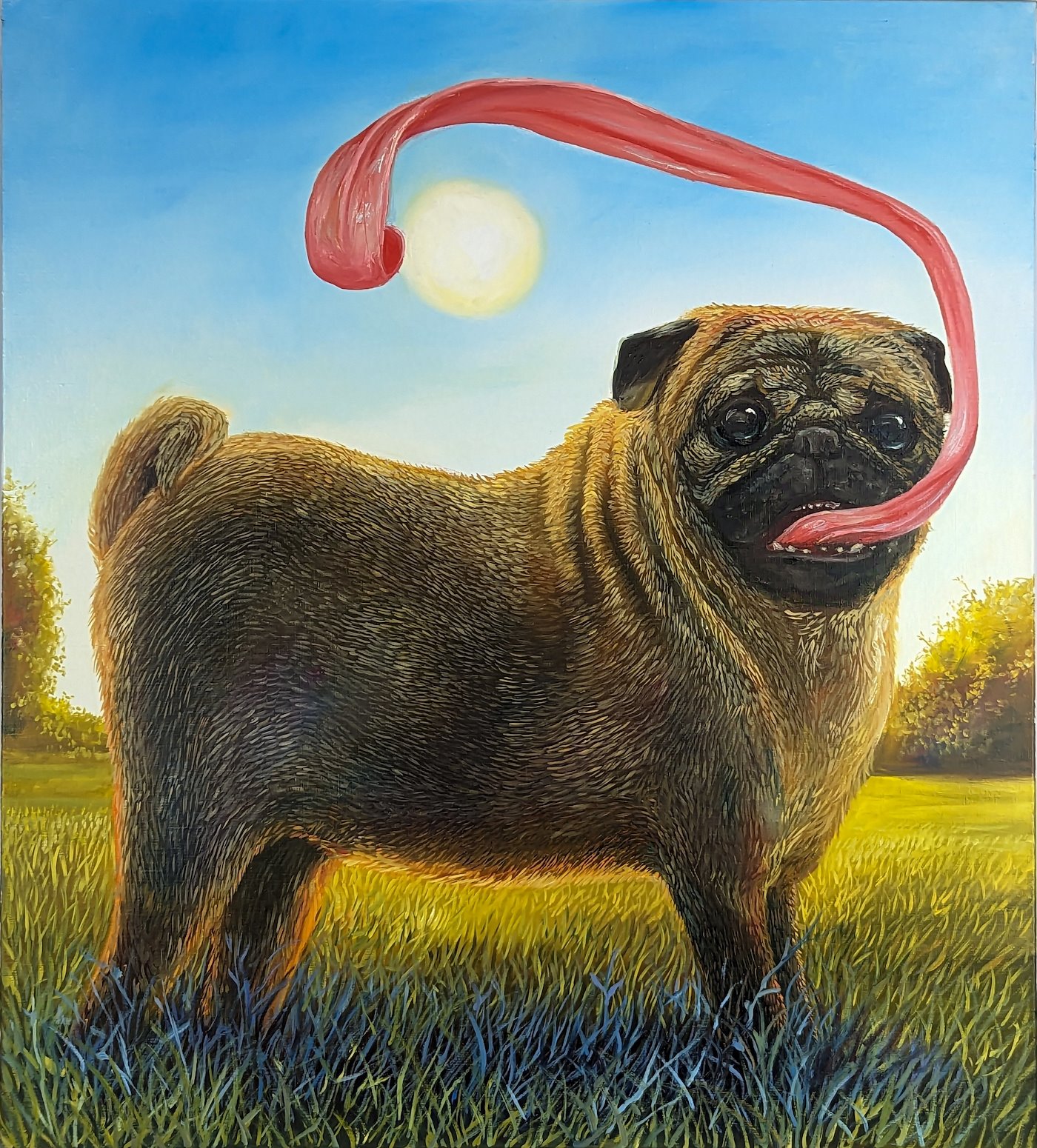 is5_134050-klara-sedlo_tlusty-mops-ktery-chtel-snist-slunce-4719